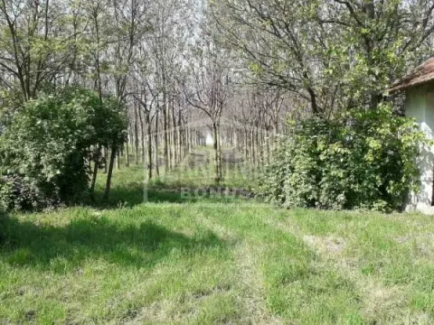 Sale, land lot, 25312m², Mišićevo, Subotica - image 5