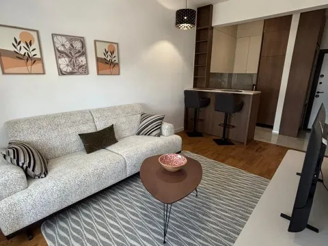 Rent, one bedroom apartment, 37m², Zabjelo, Podgorica - image 2