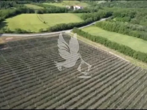 Sale, land lot, 32000m², Babe, Sopot - image 4