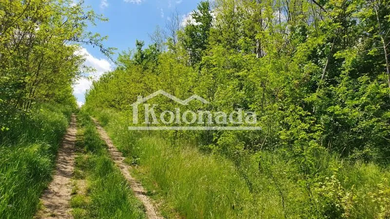 Prodaja, plac, 17700m², Sopot, Beograd