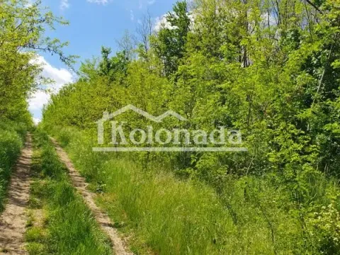 Sale, land lot, 17700m², Sopot, Beograd - image 3