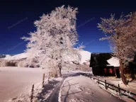 Prodaja, kuća, 100m², Motički gaj, Žabljak - image 33