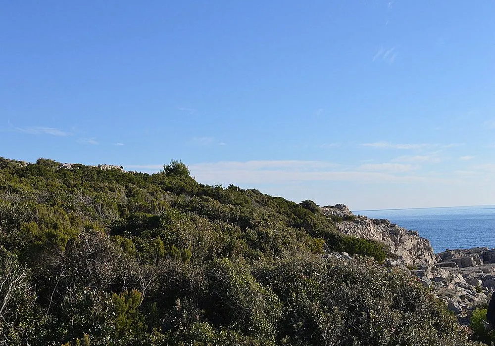 Prodaja, plac, 3000m², Herceg Novi, Crna Gora