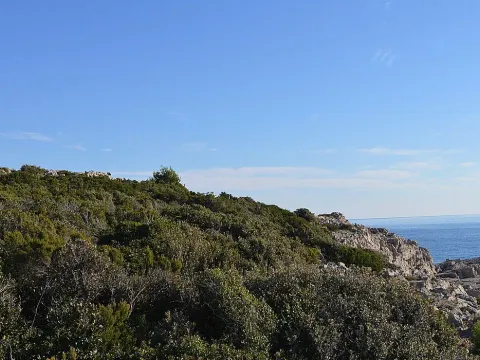 Prodaja, plac, 3000m², Herceg Novi, Crna Gora - image 5