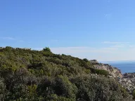 Prodaja, plac, 3000m², Herceg Novi, Crna Gora - image 5