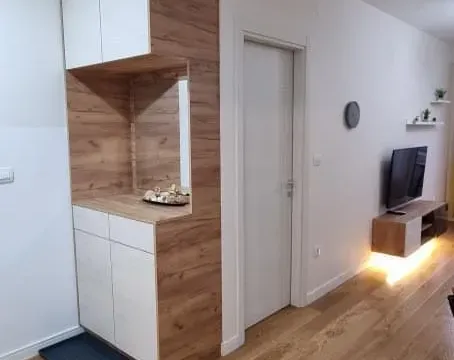 Izdavanje, jednosoban stan, 43m², Central Point, Podgorica - image 5