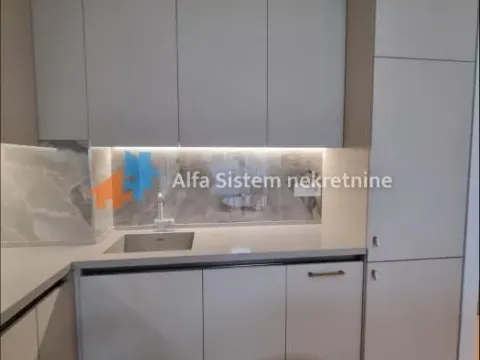 Izdavanje, dvosoban stan, 57m², Savski Venac, Beograd - image 8