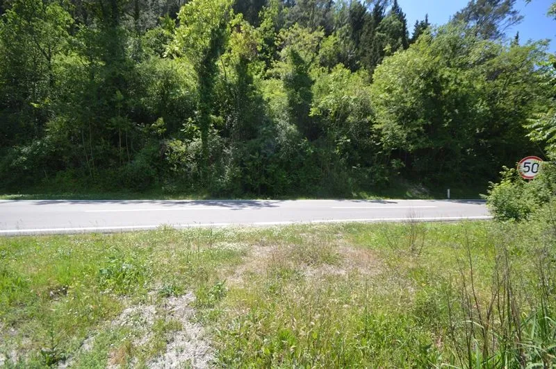 Prodaja, plac, 1357m², Sutorina, Herceg Novi