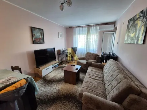 Stan in Cara Dušana