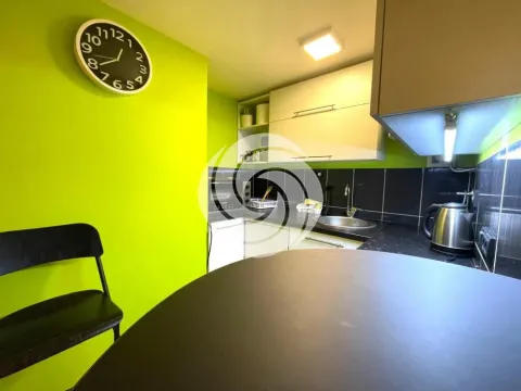 Izdavanje, stan, 20m², Čukarica, Beograd