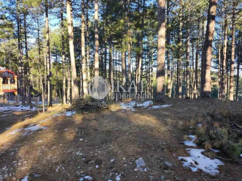 Sale, land lot, 1272m², Tara, Srbija - image 3