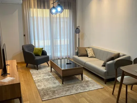 Izdavanje, jednosoban stan, 52m², Podgorica, Crna Gora - image 2