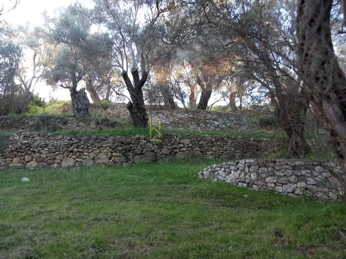 Prodaja, plac, 5000m², Ulcinj, Crna Gora
