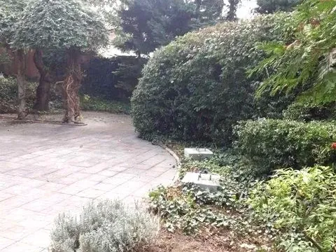 Izdavanje, kuća, 375m², Savski Venac, Beograd - image 18