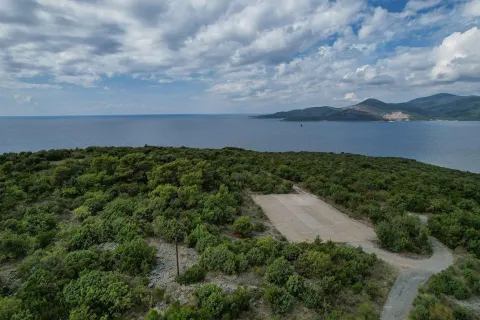 Pogled iz vazduha na šumoviti pejzaž sa otvorenim pogledom na more. - image 6