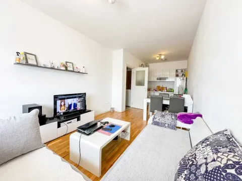 Izdavanje, jednosoban stan, 48m², Stari Aerodrom, Podgorica - image 4