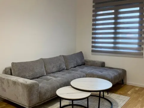 Izdavanje, jednosoban stan, 43m², Stari Aerodrom, Podgorica - image 3