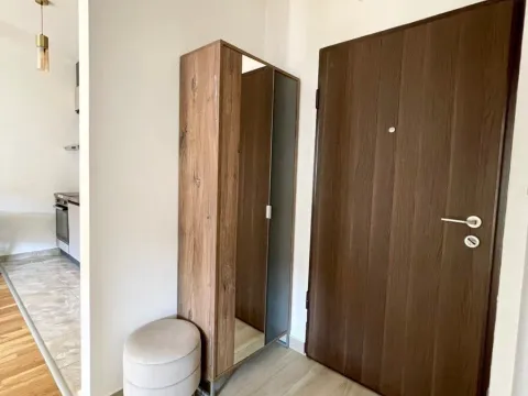 Izdavanje, jednosoban stan, 45m², Zabjelo, Podgorica - image 11