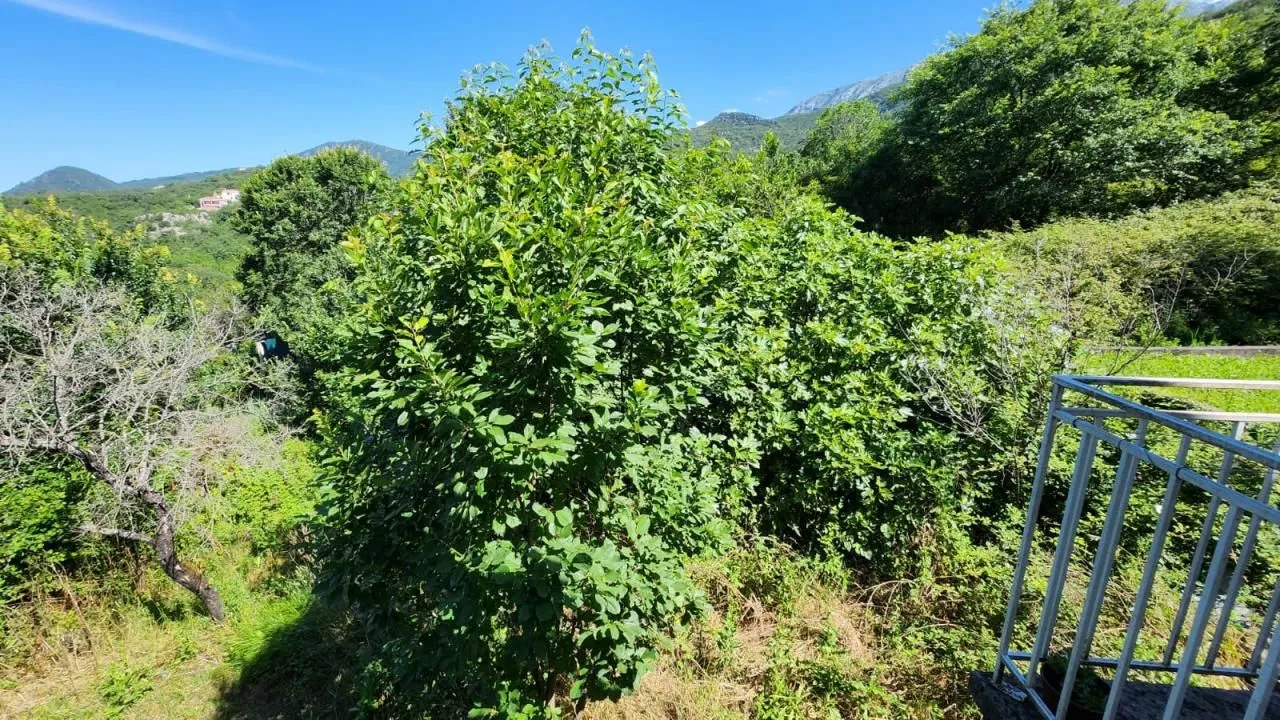 Prodaja, kuća, 92m², Igalo, Herceg Novi