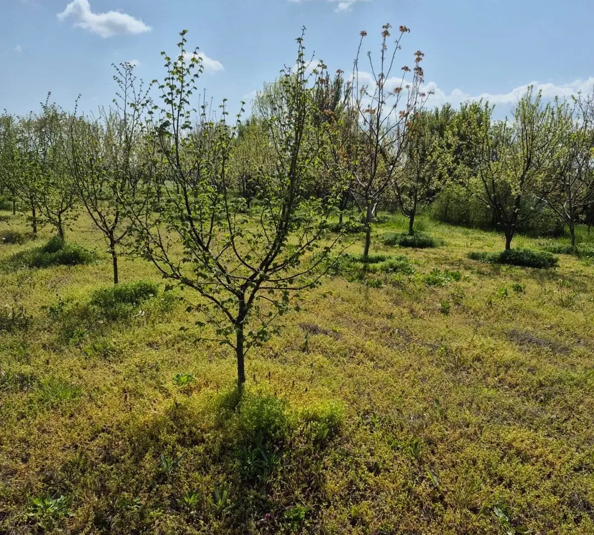 Prodaja, plac, 2950m², Voždovac Sve Podlokacije, Beograd