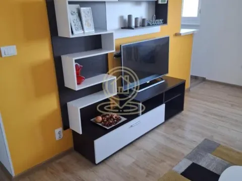 Izdavanje, jednosoban stan, 34m², Zemun Sve Podlokacije, Beograd - image 2