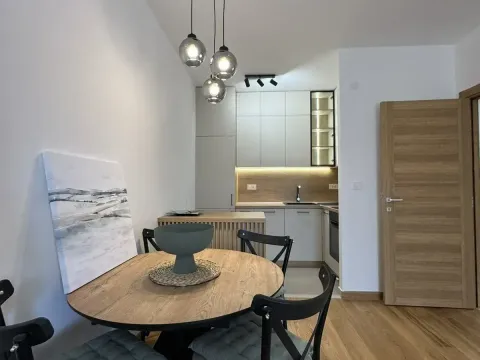 Izdavanje, jednosoban stan, 46m², New City, Podgorica - image 2