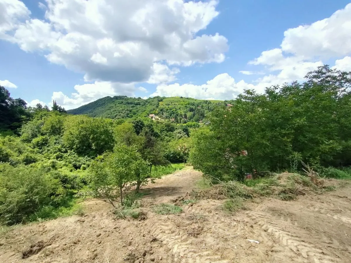 Prodaja, plac, 1500m², Rakovac, Novi Sad Sve Podlokacije