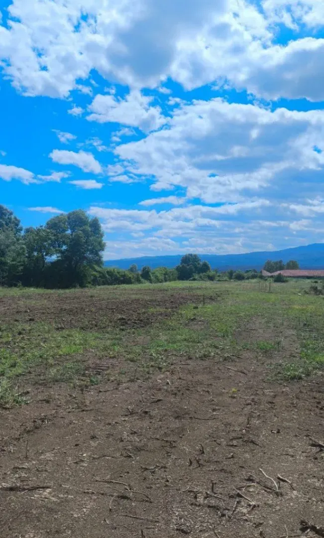 Prodaja, plac, 13300m², Kosić, Danilovgrad