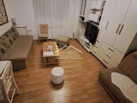 Prodaja, jednosoban stan, 31m², Vračar Sve Podlokacije, Beograd - image 2