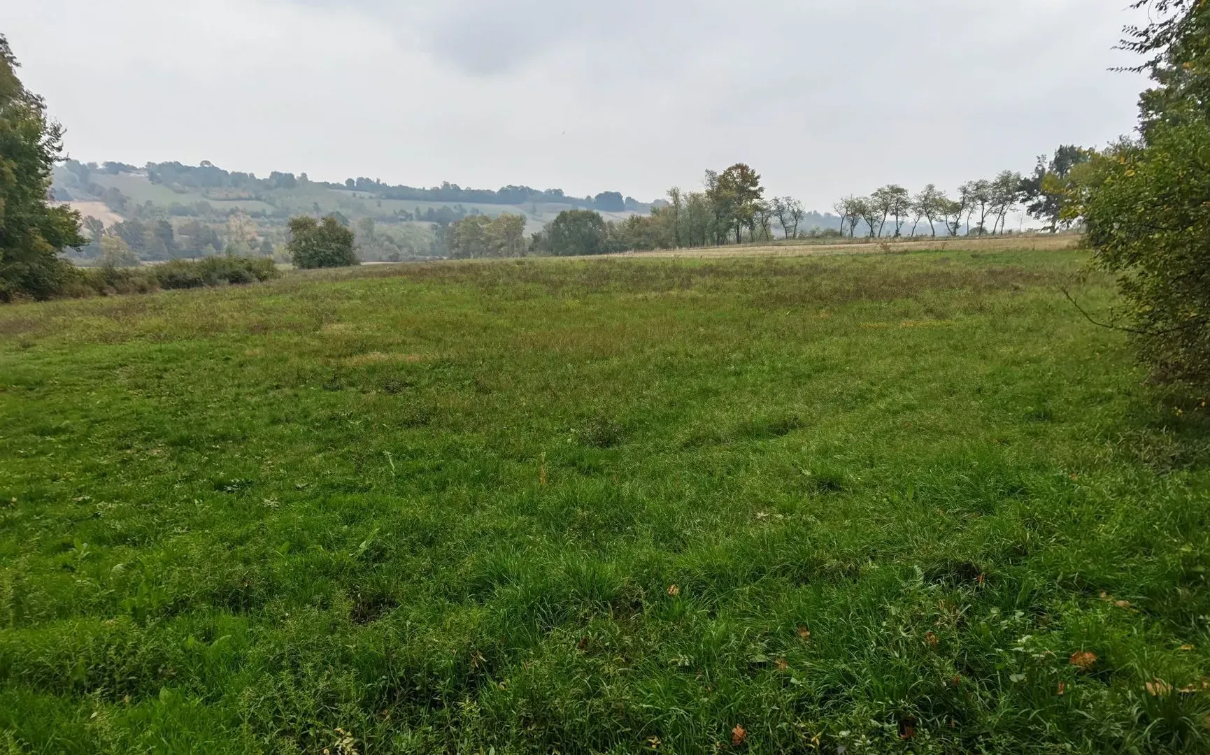 Sale, land lot, 33900m², Velika Ivanča, Mladenovac