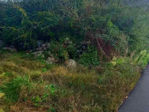 Prodaja, plac, 2200m², Cetinje, Crna Gora - image 3