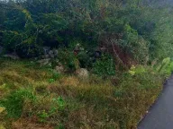 Prodaja, plac, 2200m², Cetinje, Crna Gora - image 3