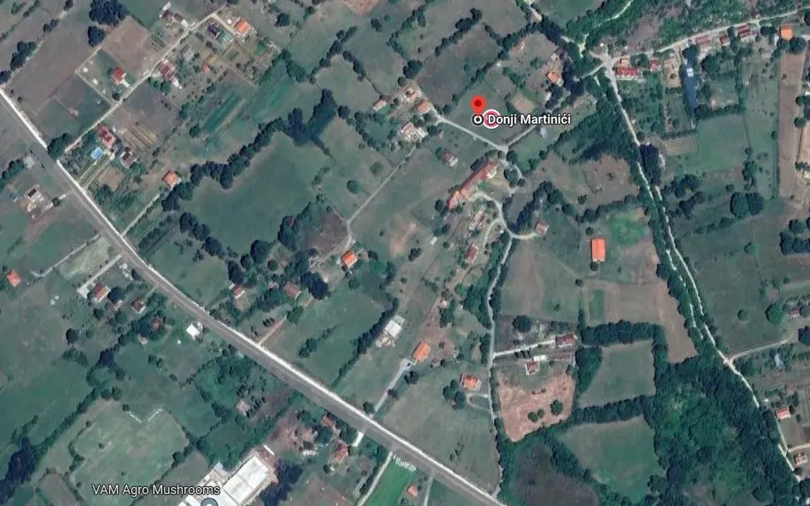 Sale, land lot, 3000m², Martinići, Danilovgrad