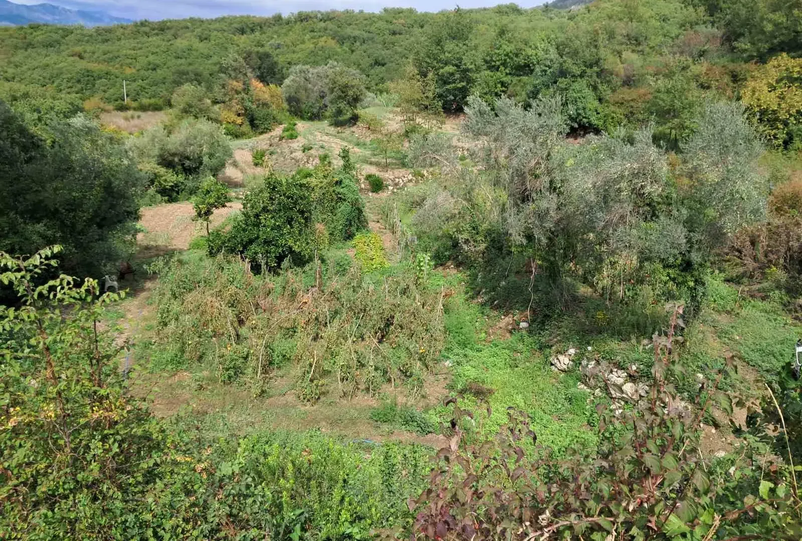 Prodaja, plac, 9300m², Kotor, Crna Gora