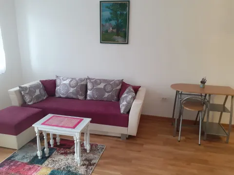 Izdavanje, garsonjera, 27m², Zagorič, Podgorica - image 3