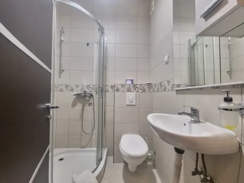 Compact bathroom with a shower cabin, washbasin, and toilet. - image 9