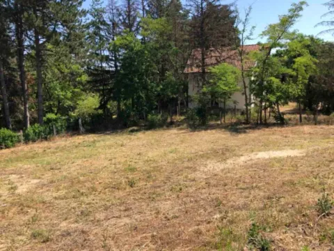 Sale, land lot, 1300m², Usije, Golubac - image 7