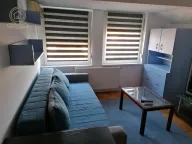 Izdavanje, garsonjera, 32m², Telep, Novi Sad Sve Podlokacije