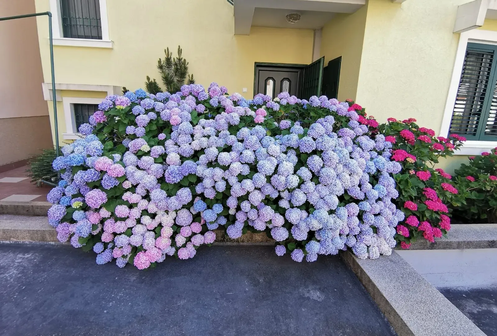 Sale, house, 181m², Budva, Crna Gora