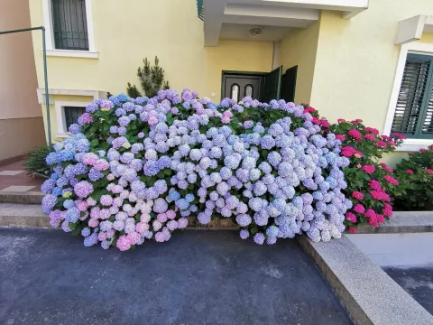 Prodaja, kuća, 181m², Budva, Crna Gora - image 8