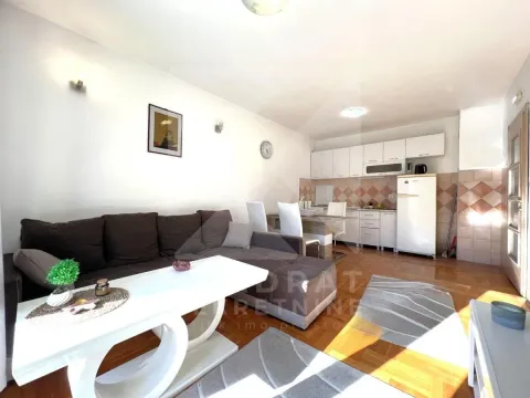 Izdavanje, jednosoban stan, 45m², Stari Aerodrom, Podgorica - image 2