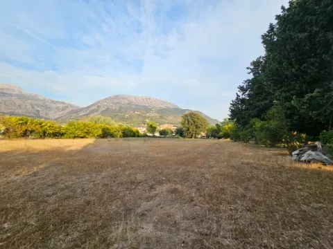 Pogled na ravno zemljište sa drvećem i planinama u pozadini. - image 6