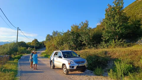 Pogled na put i prirodu u okolini nekretnine. - image 2