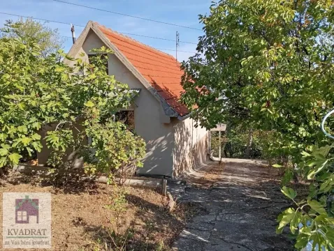 Pogled na spoljašnjost kuće sa dvorištem okruženim zelenilom. - image 4