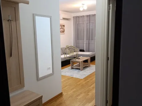 Rent, one bedroom apartment, 43m², Zagorič, Podgorica - image 2