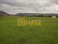 Sale, land lot, 1500m², Danilovgrad, Crna Gora - image 2