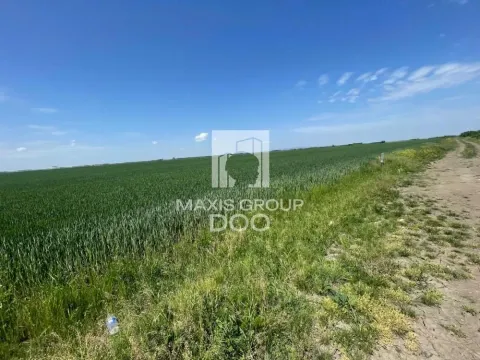 Prodaja, plac, 110000m², Šimanovci, Pećinci - image 6