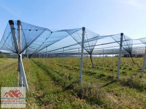 Sale, land lot, 350m², Kragujevac, Srbija - image 4