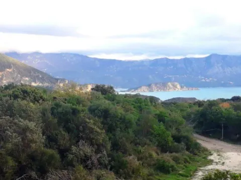 Prodaja, plac, 1031m², Jaz, Budva - image 2