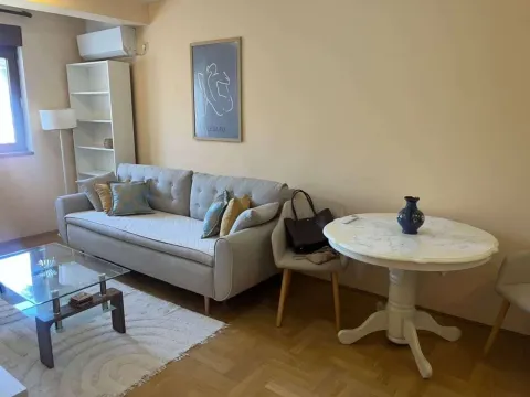 Rent, one bedroom apartment, 40m², Stari Aerodrom, Podgorica - image 3
